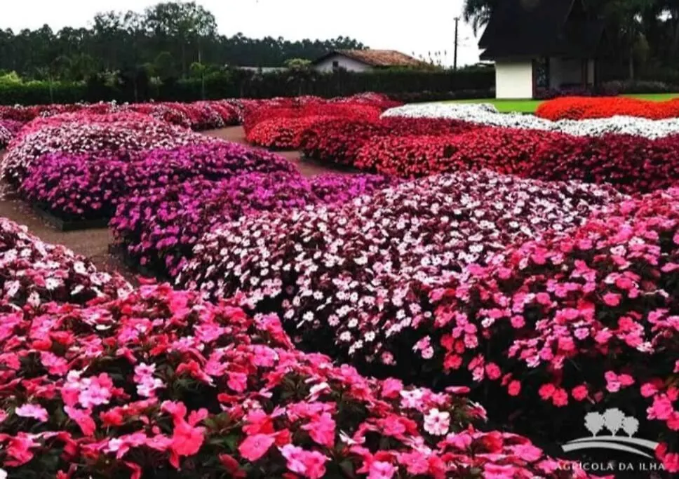 Apartamento Cidade Das Flores Joinville Apartment