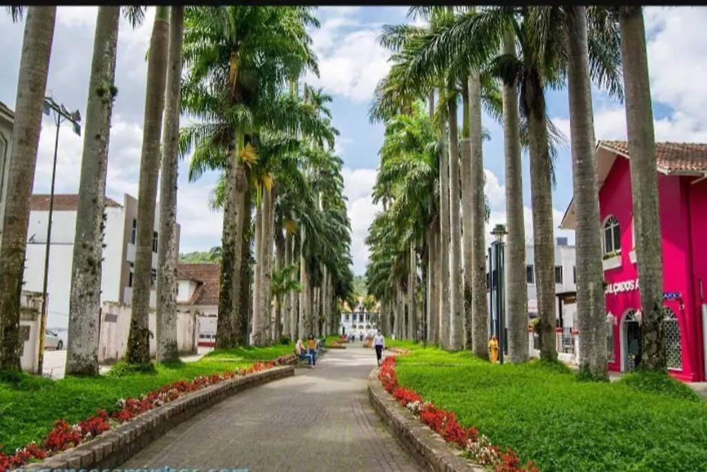 Apartamento Cidade Das Flores Joinville