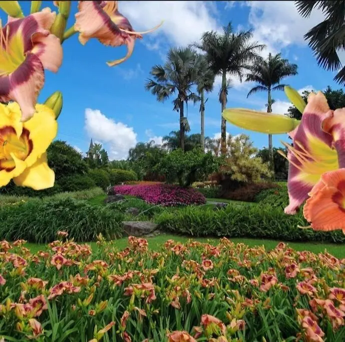 Apartamento Cidade Das Flores Joinville